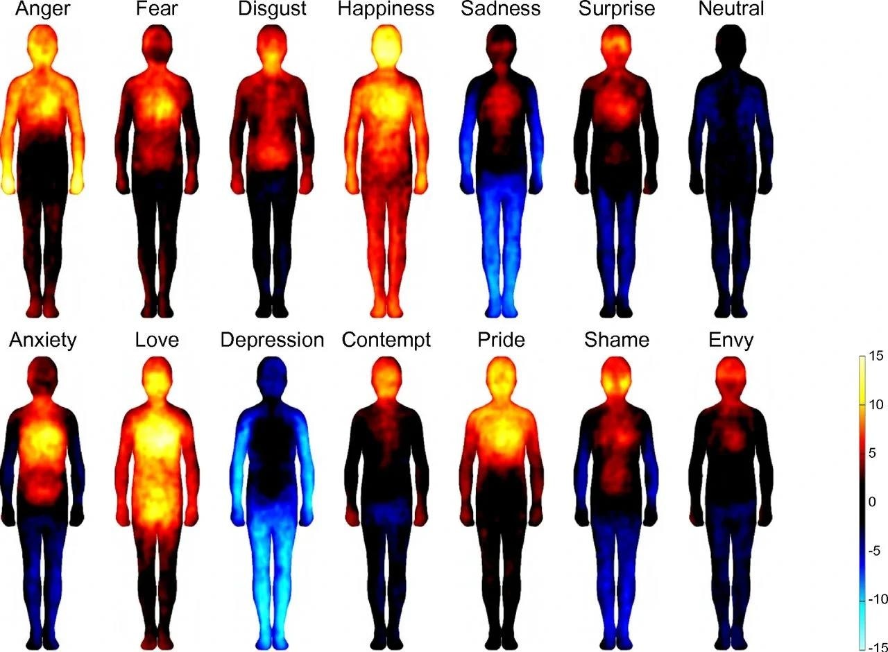 "Assessing the Effect of This Children's Book on Comprehending Emotions"