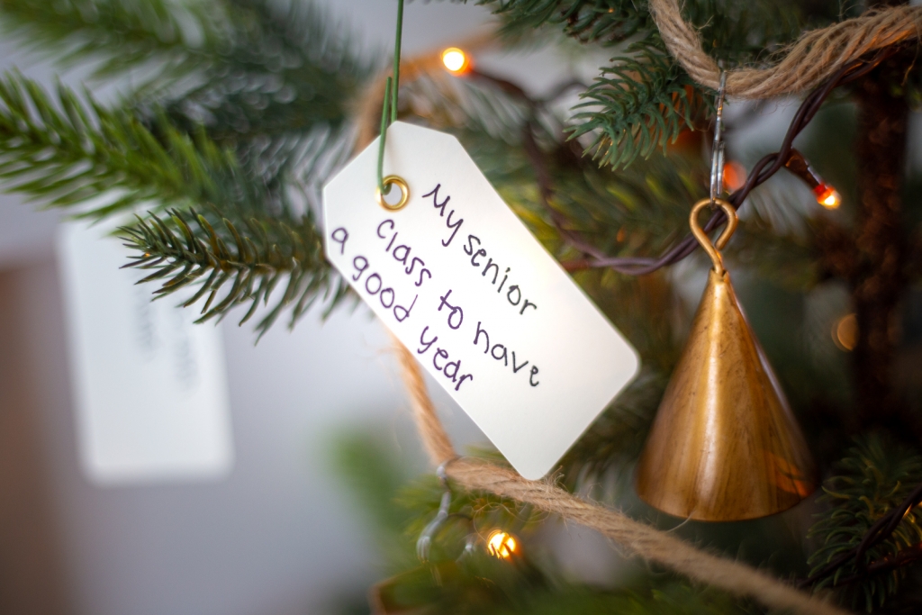 "Our Unique Christmas Wishmas Tree Festivity"