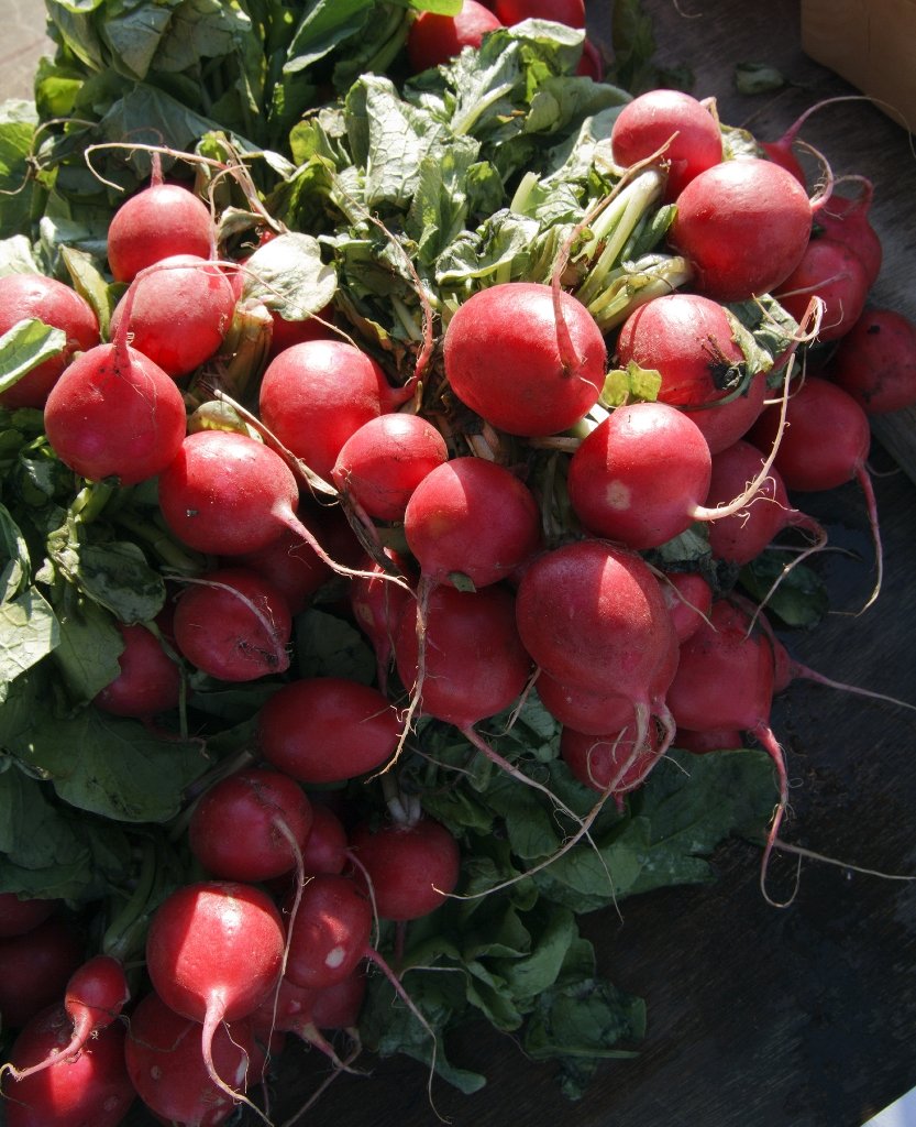 Selecting a House Salad: Insights on Choices and Trends Unveiled