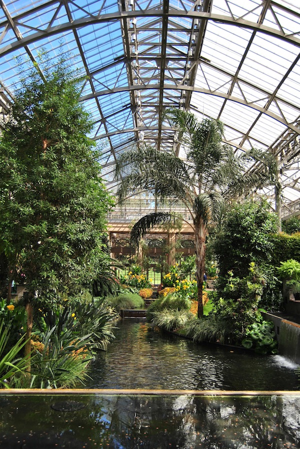 10 Gardeners Display Their Stunning Outdoor Areas
