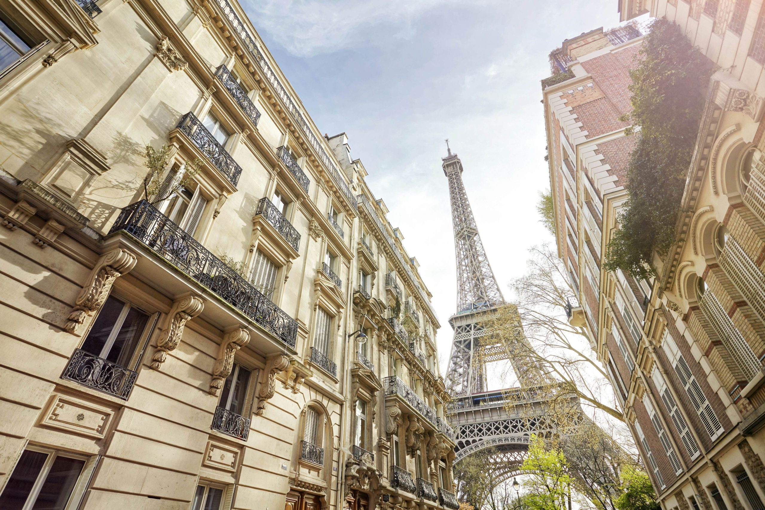 An Entire Summary of Our Journey to Paris