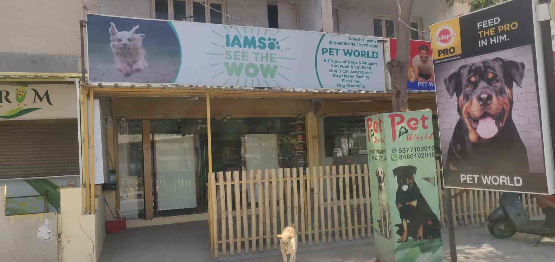 Indie Range of Canine Accessories Offered at Online Pet Stores