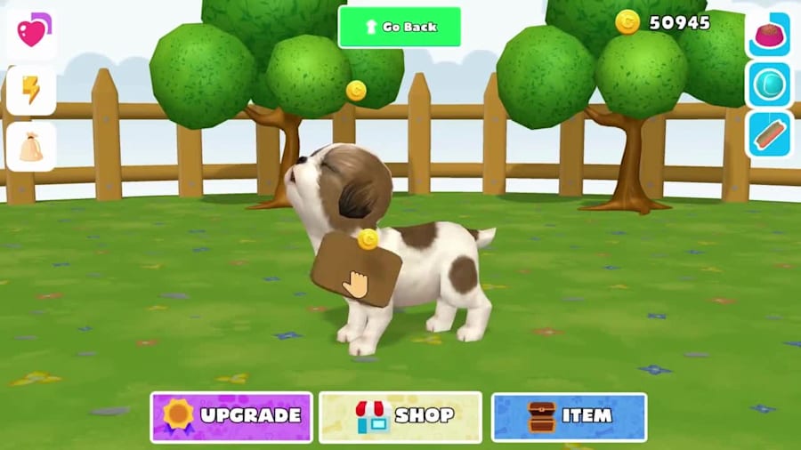 Indie Edition: Virtual Pet Store Canine Accessories