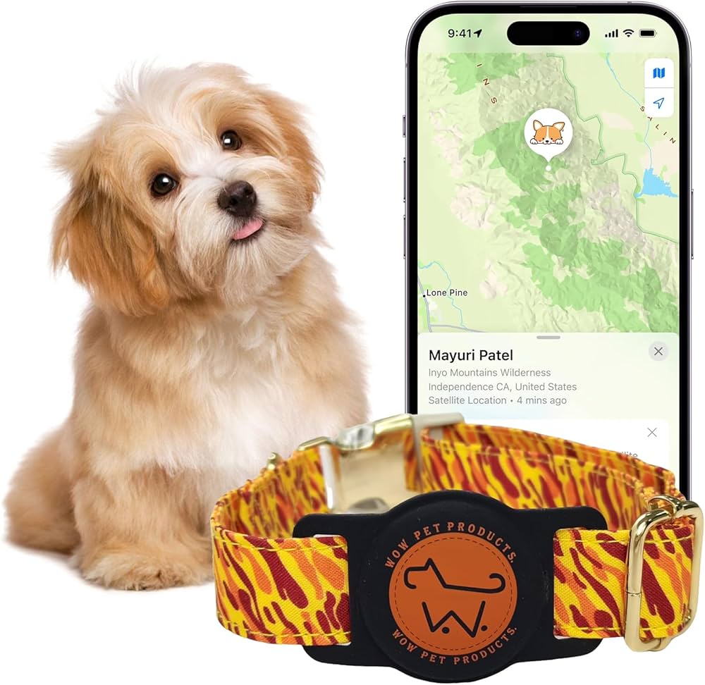 Independent Collection of Presents and Items for Dogs
