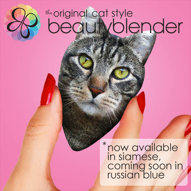 Volume 865: Sundays Featuring Tabs the Cat - Mascot for Makeup and Beauty Blog