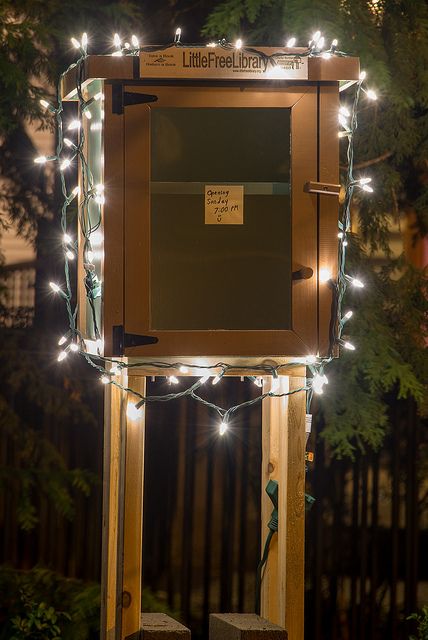 Crafting the Ideal Little Free Library