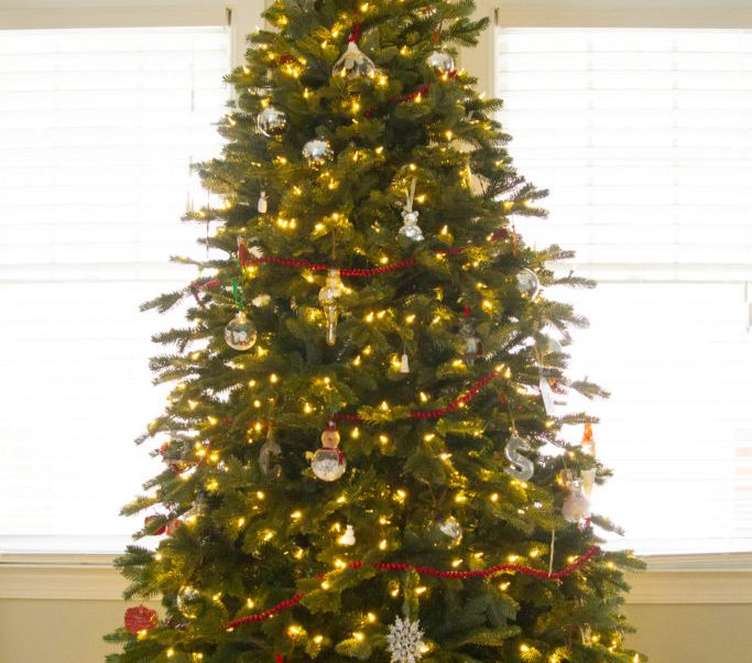 Christmas Tour of 2020