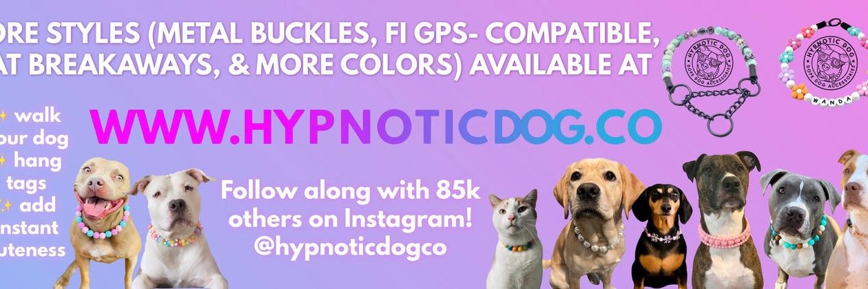 Indie Version: Virtual Pet Store Canine Gear