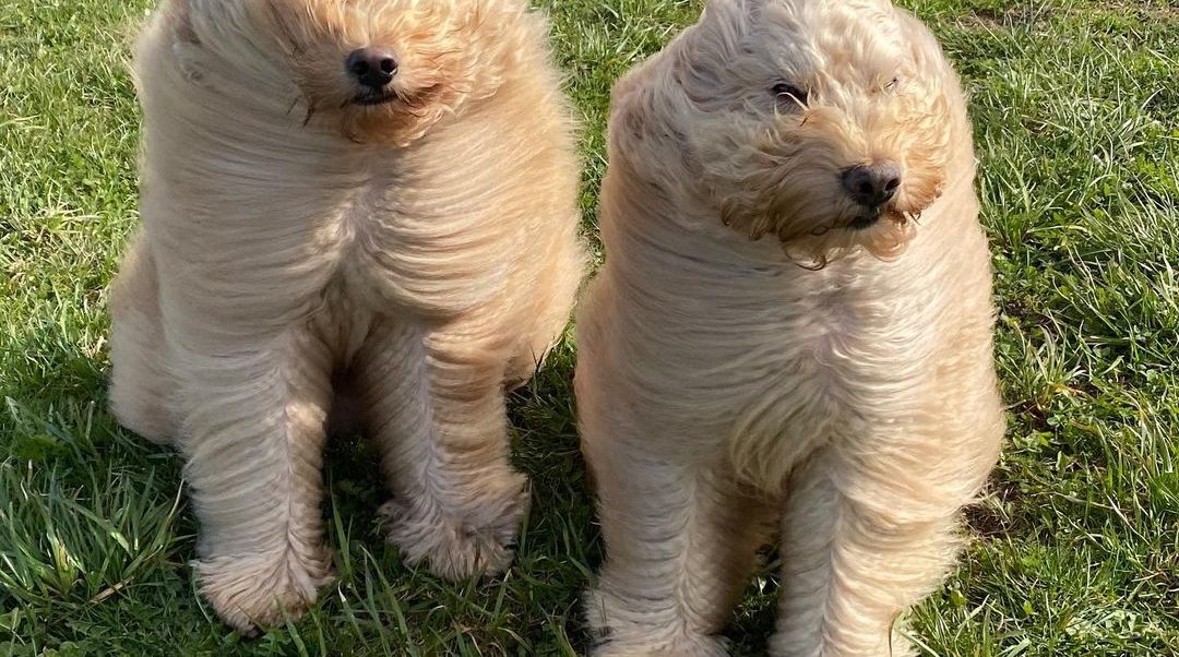 Savor a Wonderful Weekend with Delectable Goodies