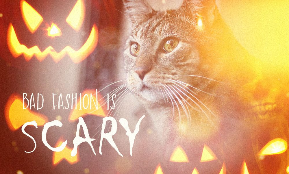 Volume 875: Sundays With Tabs the Cat, Icon of Makeup and Beauty Blog