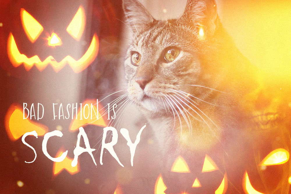 Volume 875: Sundays With Tabs the Cat, Icon of Makeup and Beauty Blog