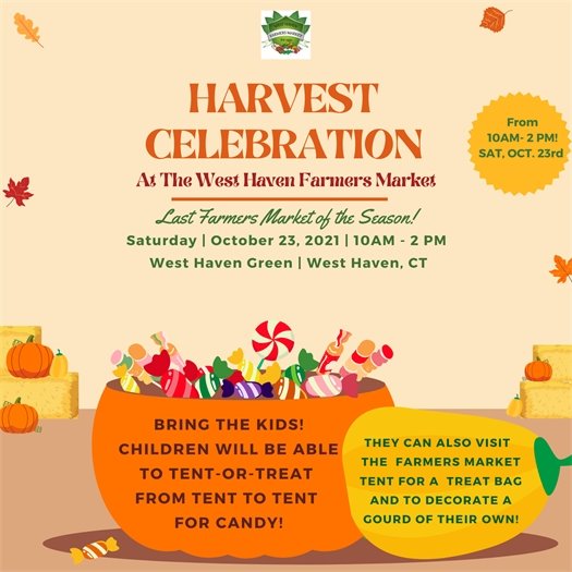 The Treat I'm Bringing to Seasonal Celebrations