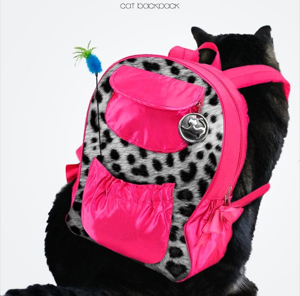 Volume 877: Sundays Featuring Tabs the Cat, Icon of Makeup and Beauty Blog