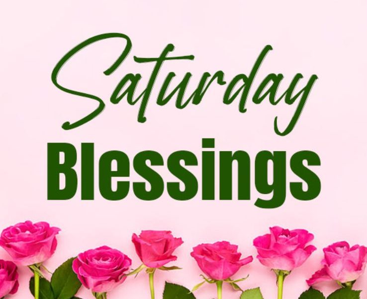 Contemplating Your Weekend Endeavors