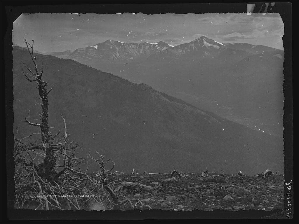 Uncover Remarkable Quality and Superiority This Festive Season