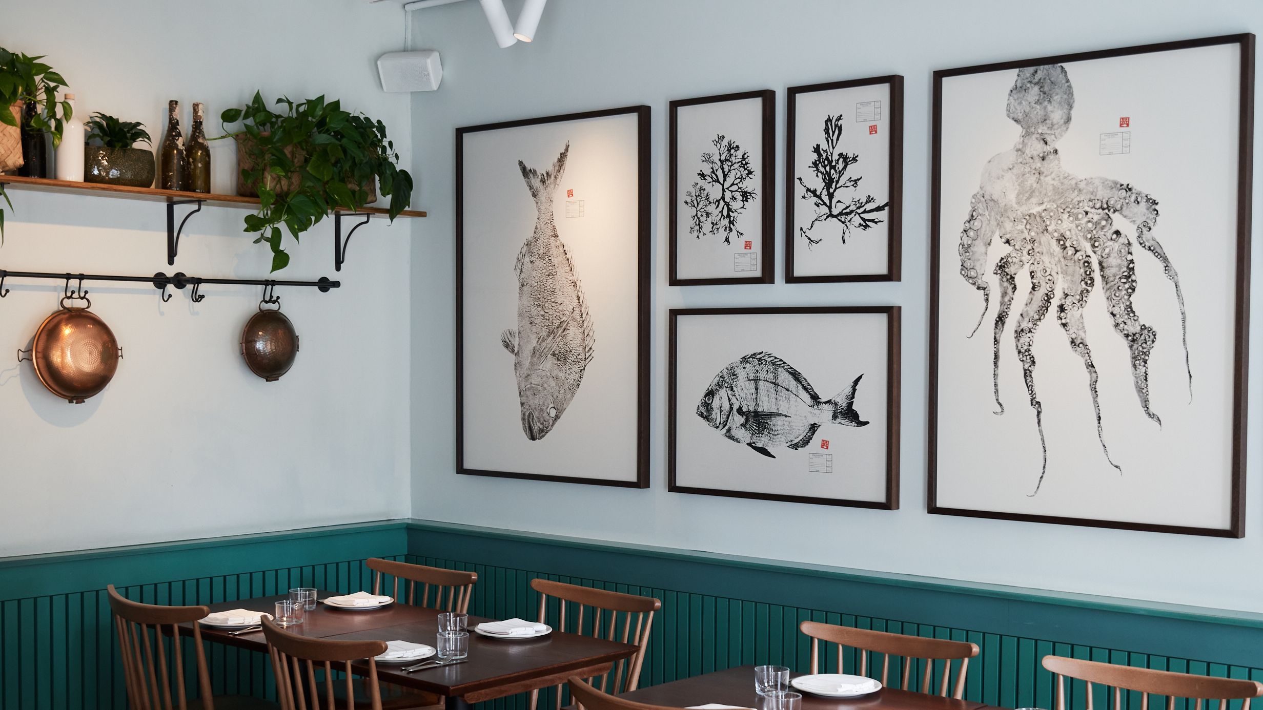 Assessment of Dior Forever Blush Soft Filter