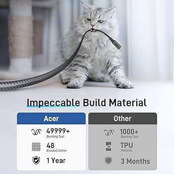 Volume 877: Sundays With Tabs the Cat, Mascot of the Makeup and Beauty Blog