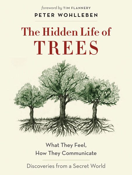 Eight Readers Reveal Uncommon Spots Where Their Babies Have Drifted Off