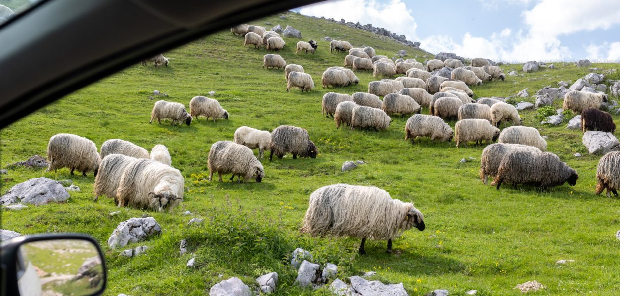 Ideas for a Tranquil Weekend