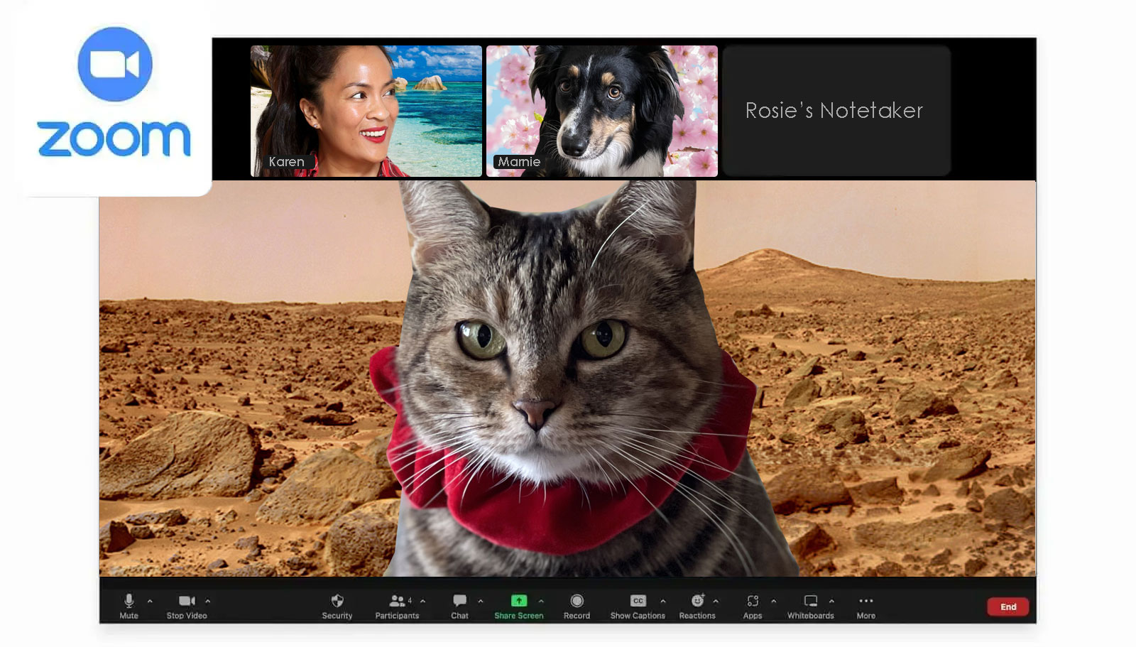 Volume 878: Sundays with Tabs the Cat, Emblem of Makeup and Beauty Blog