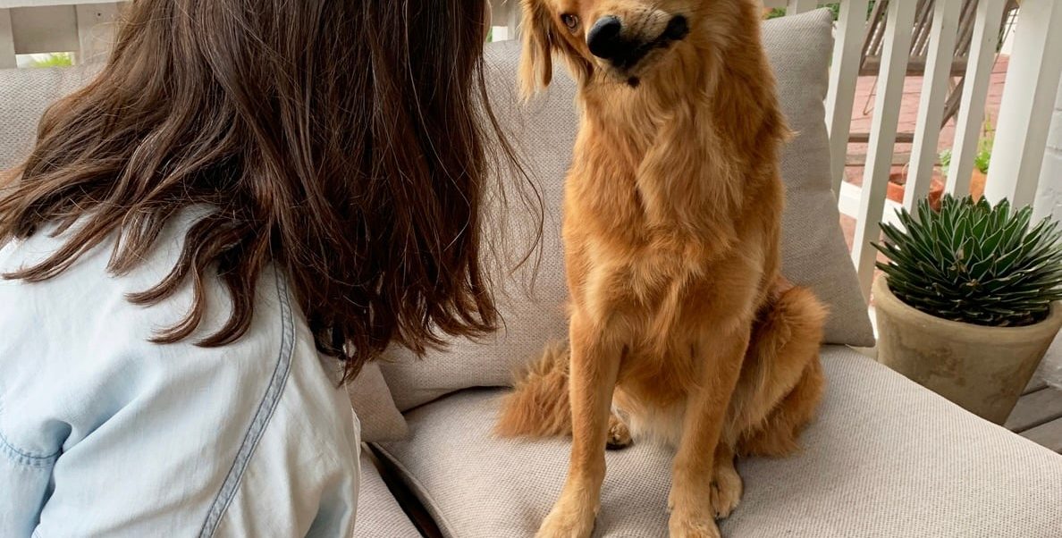 Compilation of Popular Animal Names