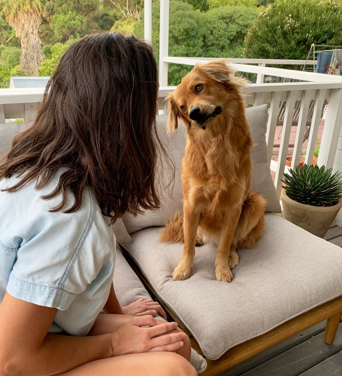 Compilation of Popular Animal Names