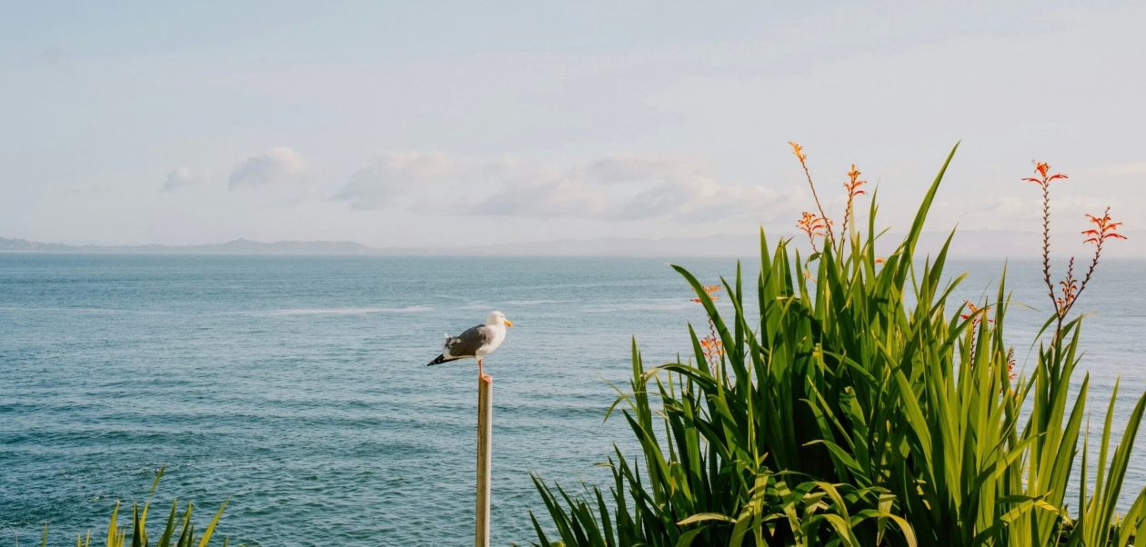 Hope You Enjoy a Wonderful Weekend