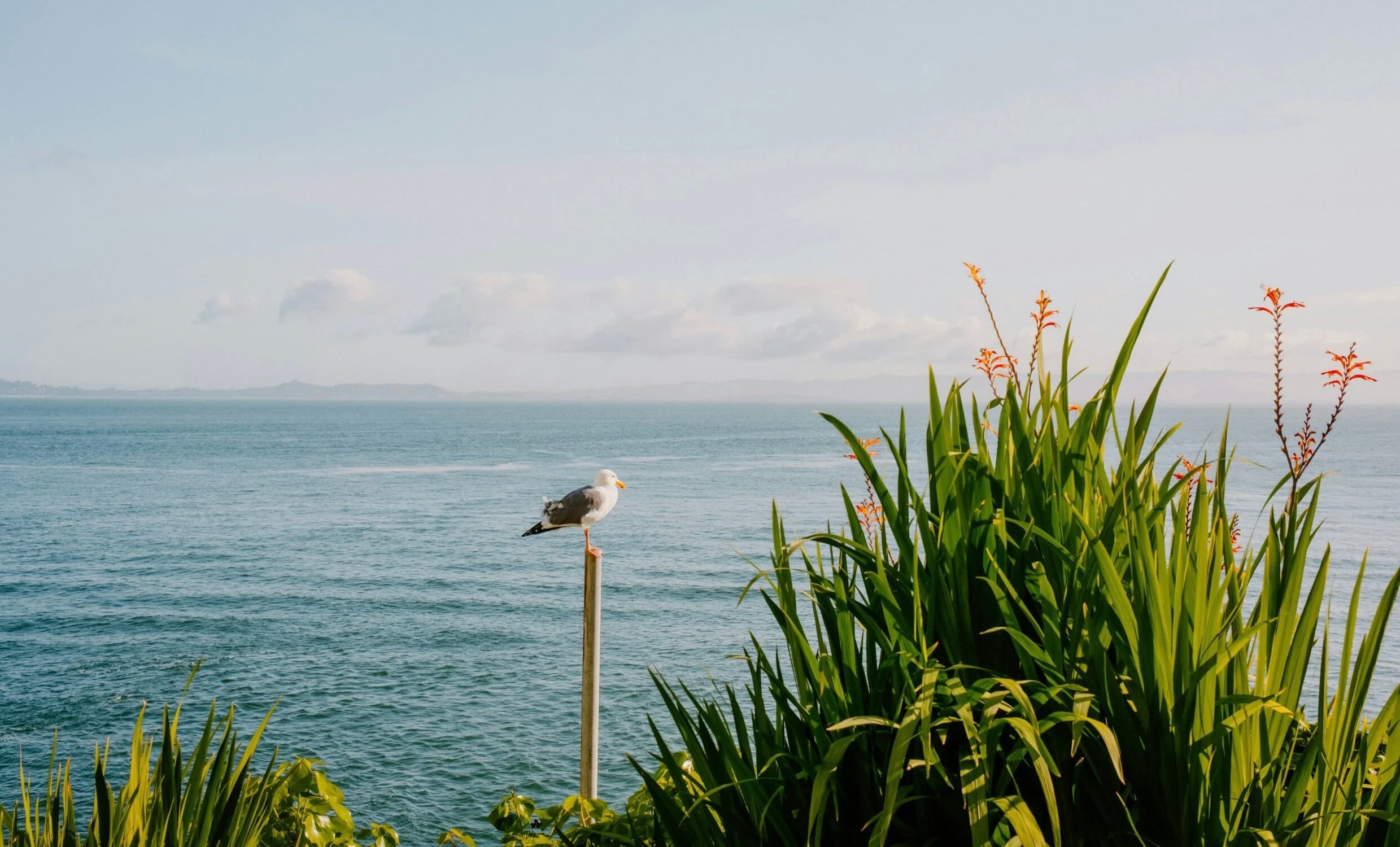 Hope You Enjoy a Wonderful Weekend