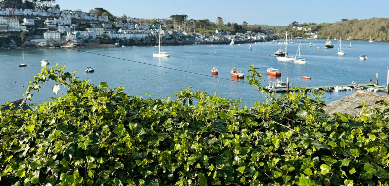 Hoping You Have a Delightful and Fun Weekend