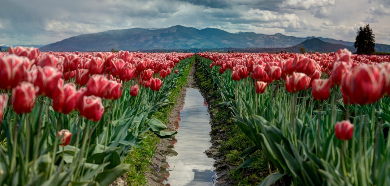 Hoping You Have a Delightful and Relaxing Weekend