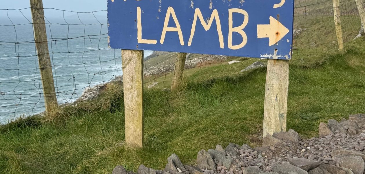 Uncover Something Lovely