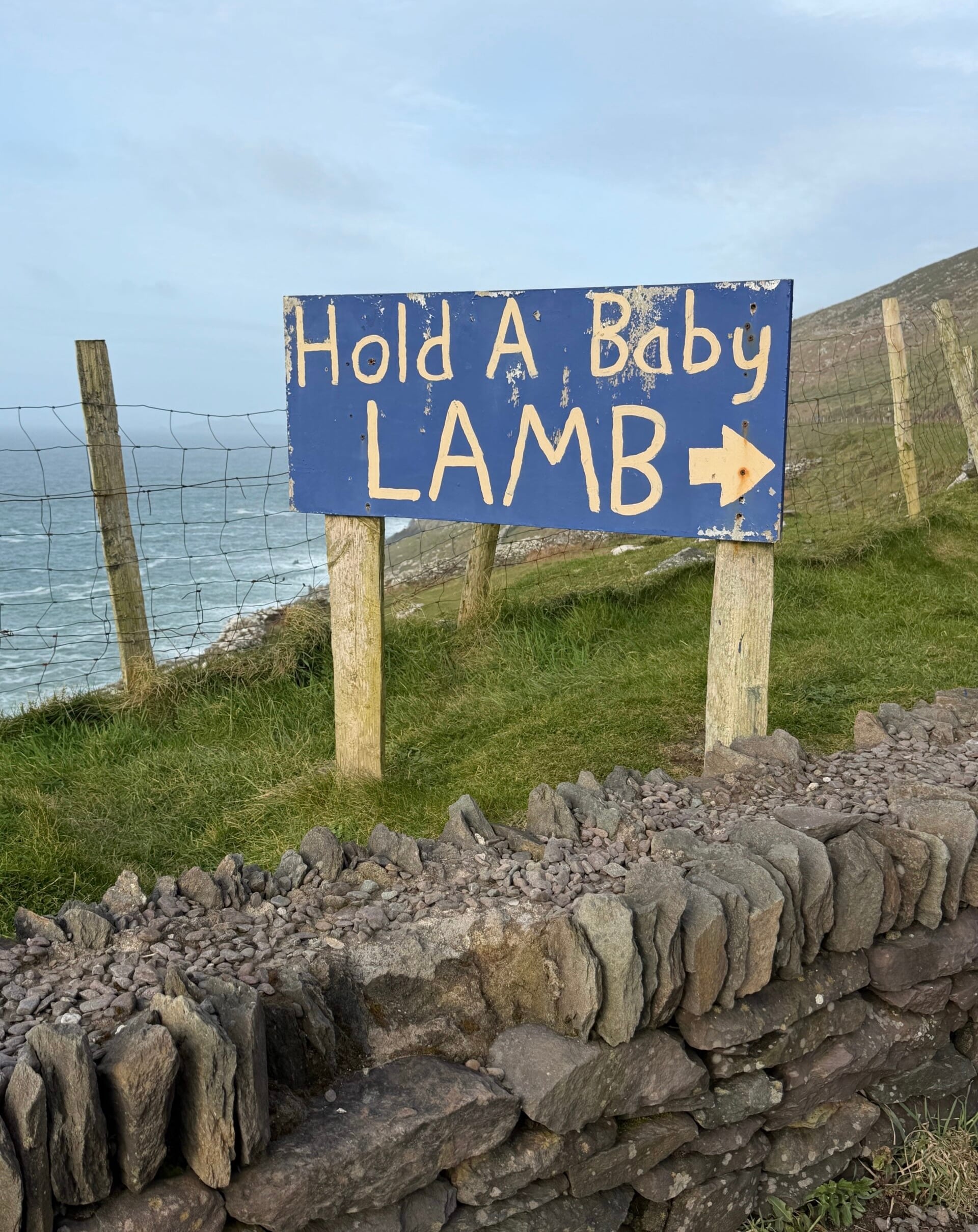 Instagram Challenge: 3 Days of Independent Motivation