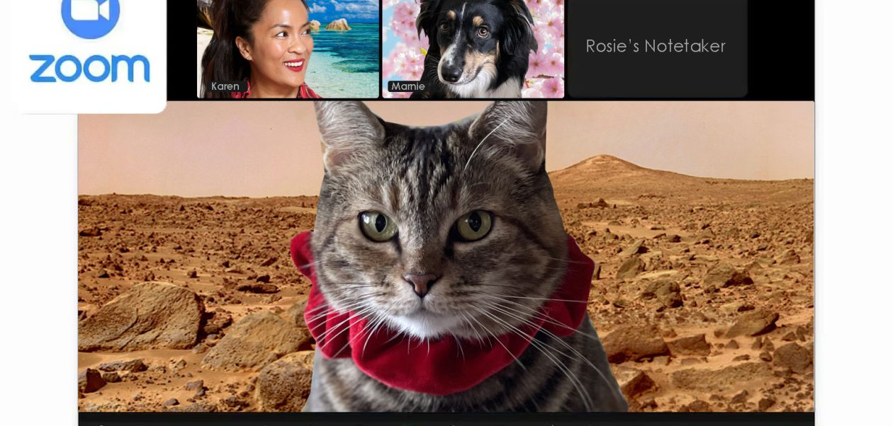 Volume 878: Sundays With Tabs the Cat, Icon of Makeup and Beauty Blog