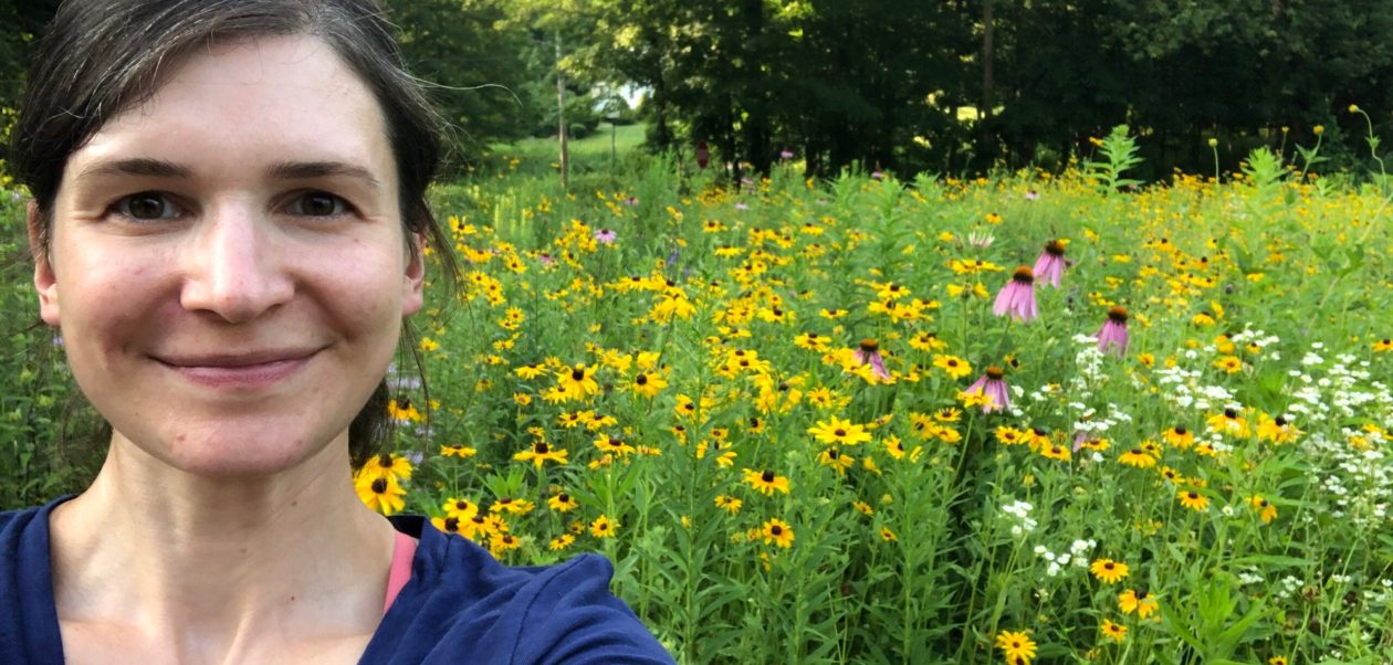 11 Captivating Tales: Enthusiasts Display Their Stunning Gardens
