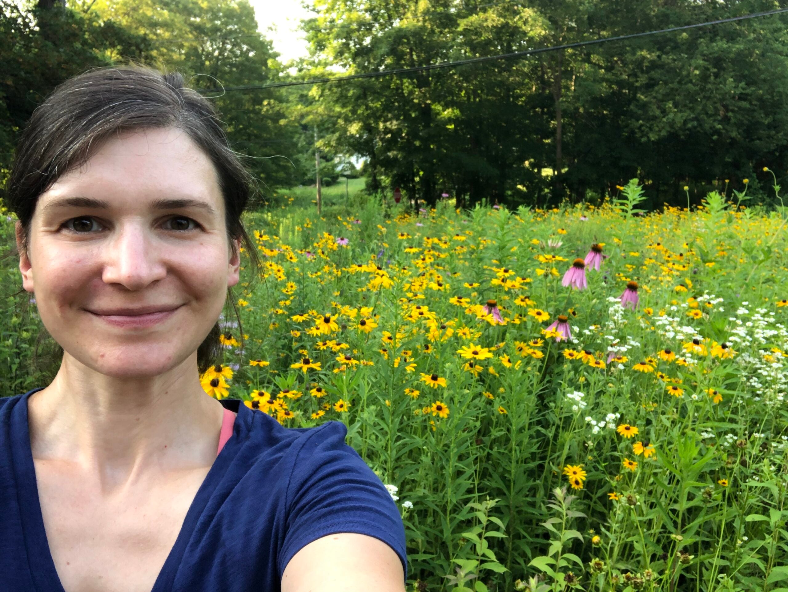 11 Captivating Tales: Enthusiasts Display Their Stunning Gardens
