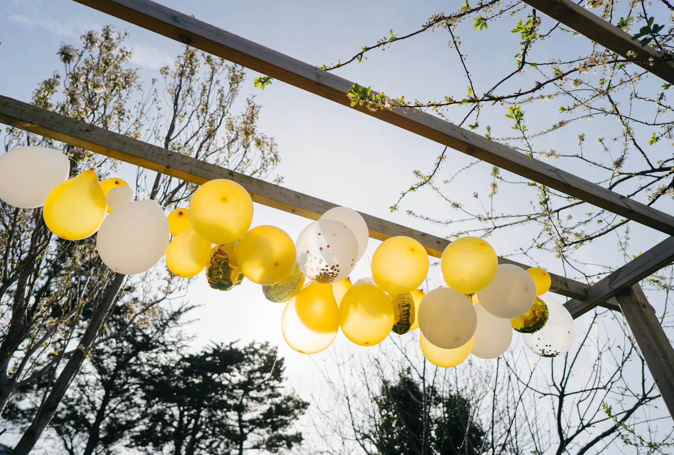 Discovering Typical Birthday Customs Within Families