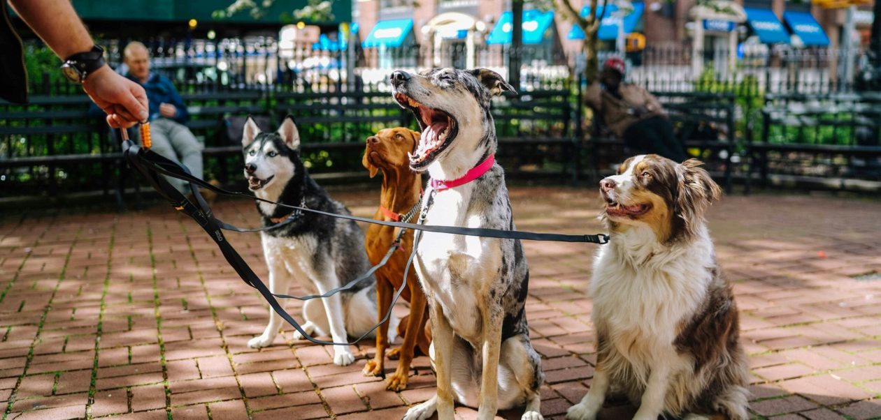 Savor a Fun-Filled Weekend Adventure