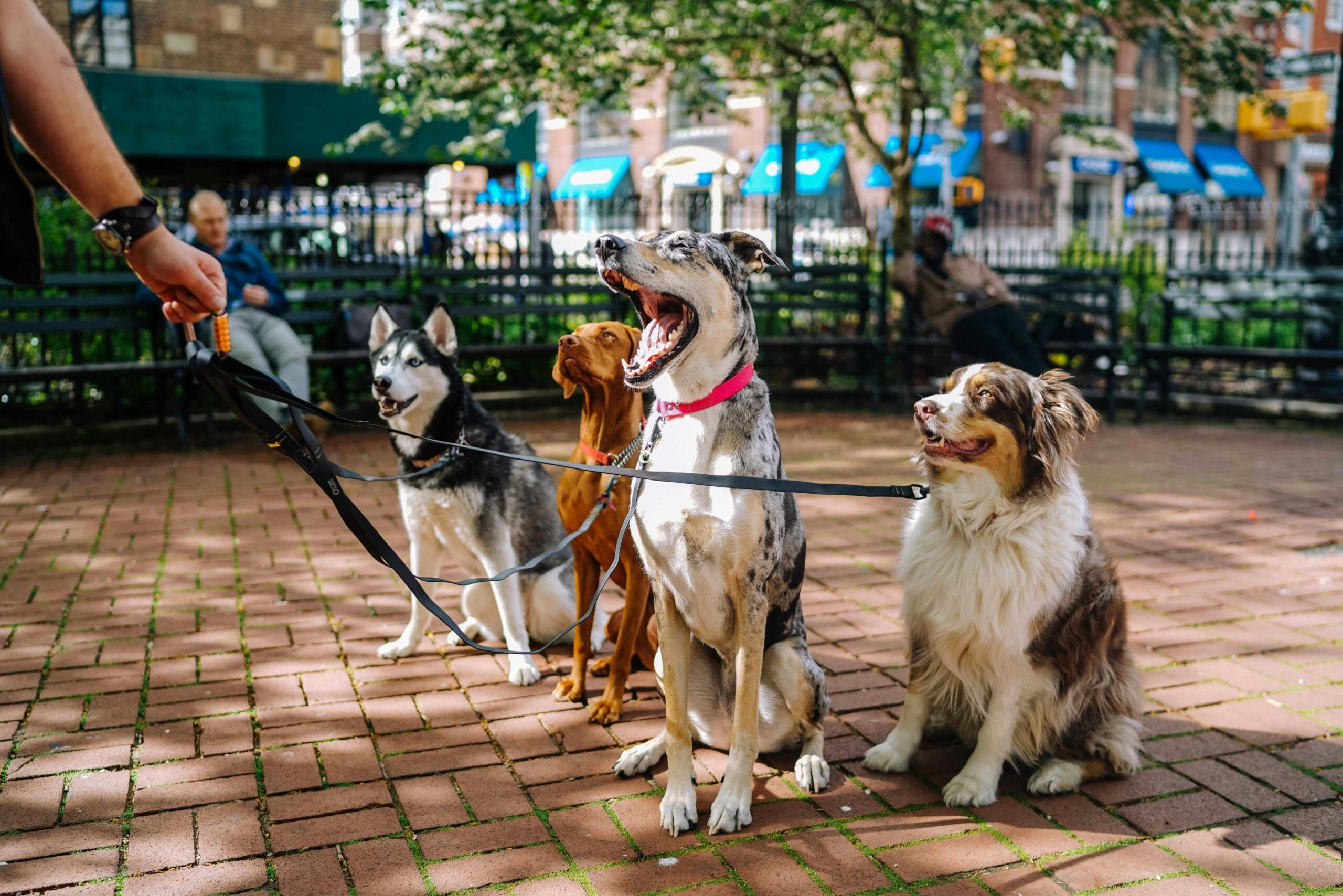Savor a Fun-Filled Weekend Adventure
