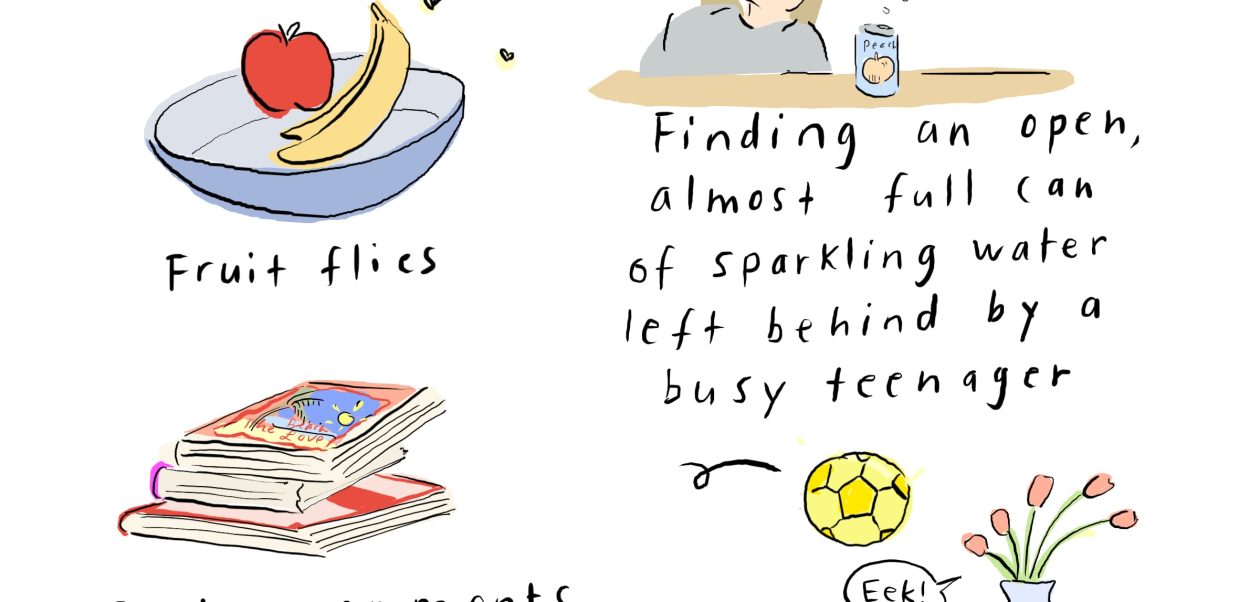 The Most Irritating Habit I Come Across