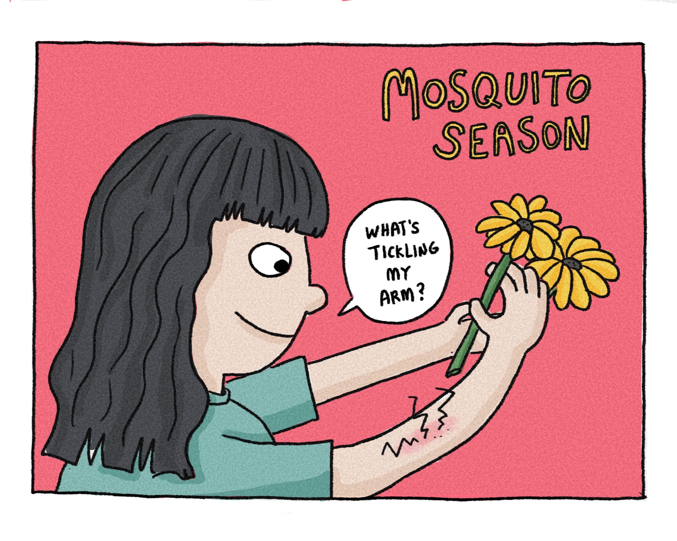 The Time of Heightened Mosquito Activity