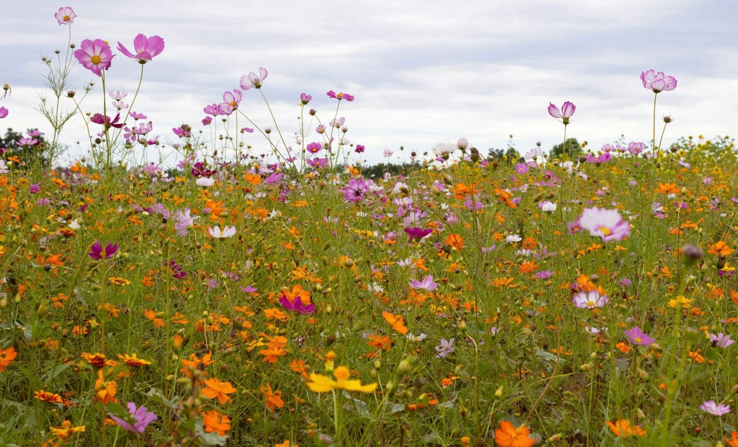 Delight in a Peaceful and Lengthened Weekend